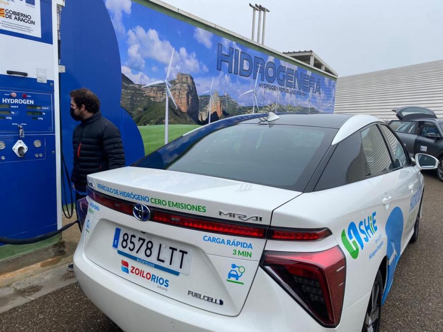 hidrogenera zoilo hidrogenera zoilo